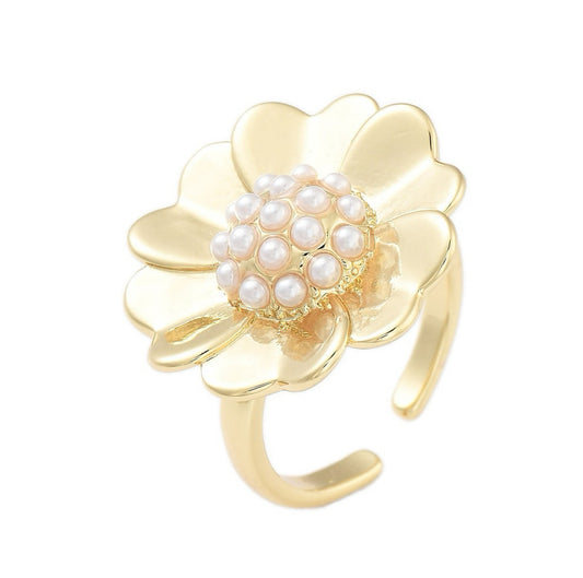 Anillo AN85
