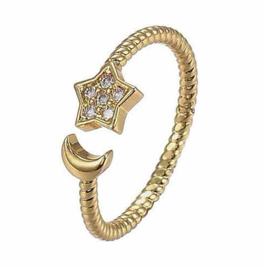 Anillo AN81