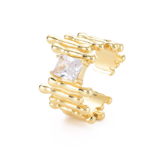 Anillo AN31