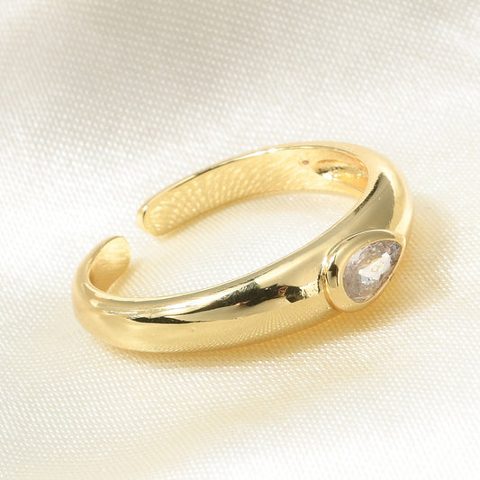 Anillo AN60