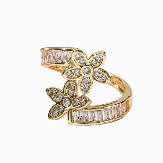 Anillo AN02