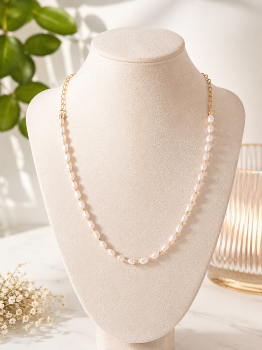 Collar 02