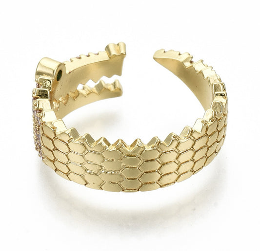 Anillo AN69