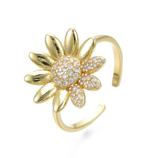 Anillo AN62
