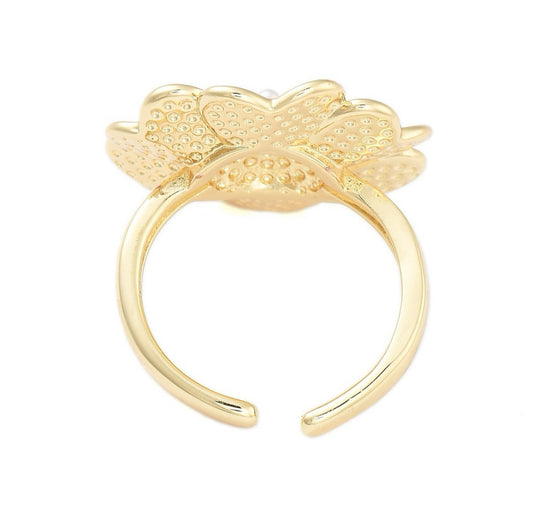 Anillo AN85