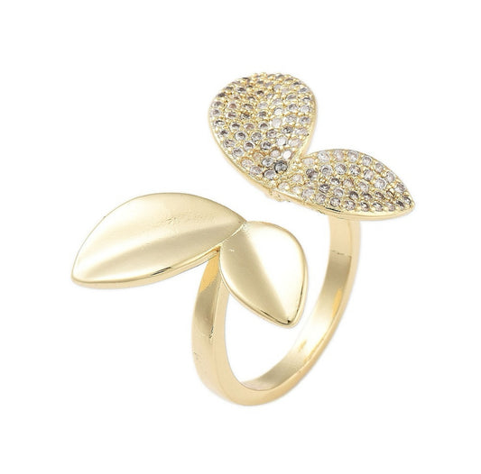 Anillo AN94