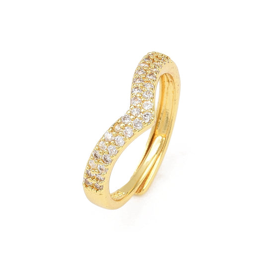 Anillo AN65