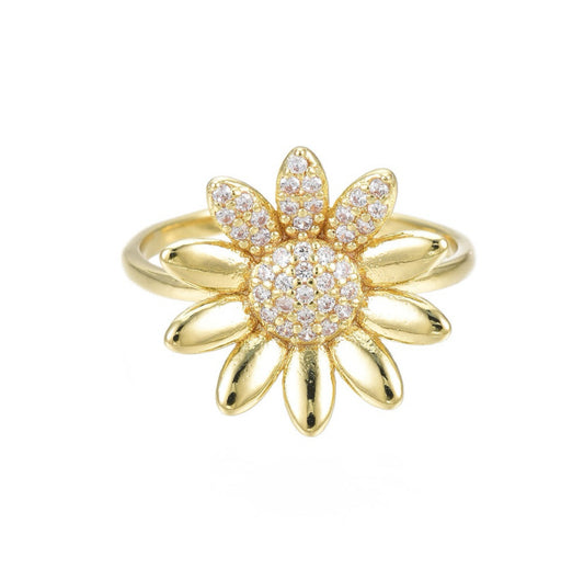Anillo AN62